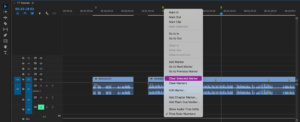premierepro