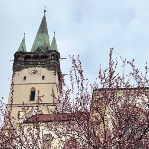 presov